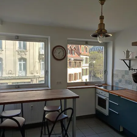 Au Coeur De Strasbourg, 3 Pieces Vue Sur L'ill! *