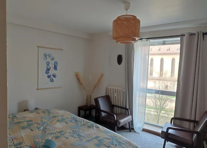 Appartamento Au Coeur De Strasbourg, 3 Pieces Vue Sur L'ill! *