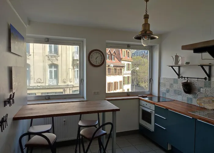Au Coeur De Strasbourg, 3 Pieces Vue Sur L'ill! *