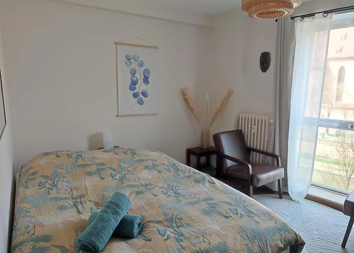 Au Coeur De Strasbourg, 3 Pieces Vue Sur L'ill! Apartment *