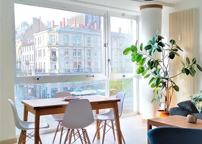 Apartment Au Coeur De Strasbourg, 3 Pieces Vue Sur L'ill! *
