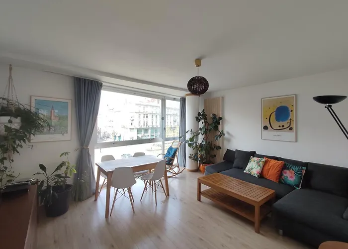 Au Coeur De Strasbourg, 3 Pieces Vue Sur L'ill!