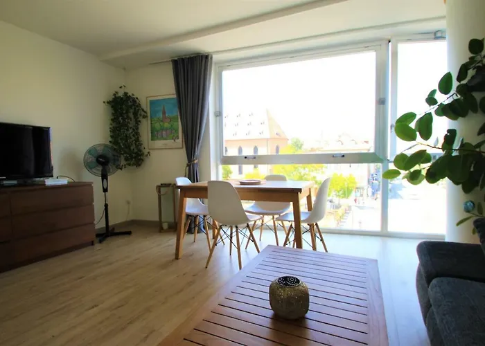 Au Coeur De Strasbourg, 3 Pieces Vue Sur L'ill! *