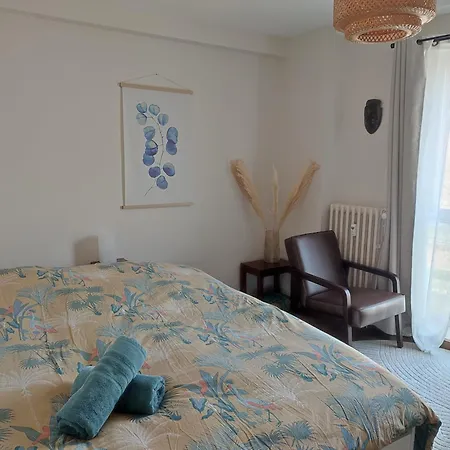 Au Coeur De Strasbourg, 3 Pieces Vue Sur L'ill! 아파트 *