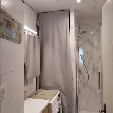 Au Coeur De Strasbourg, 3 Pieces Vue Sur L'ill! 斯特拉斯堡